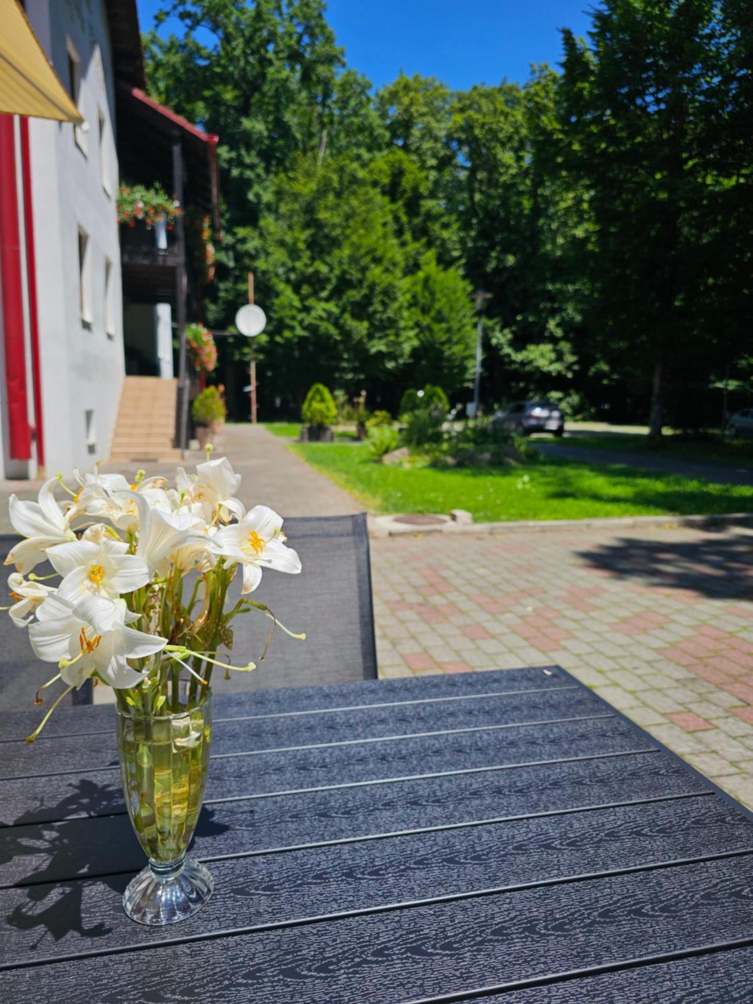 Pensiune Hanul Vestem Sibiu